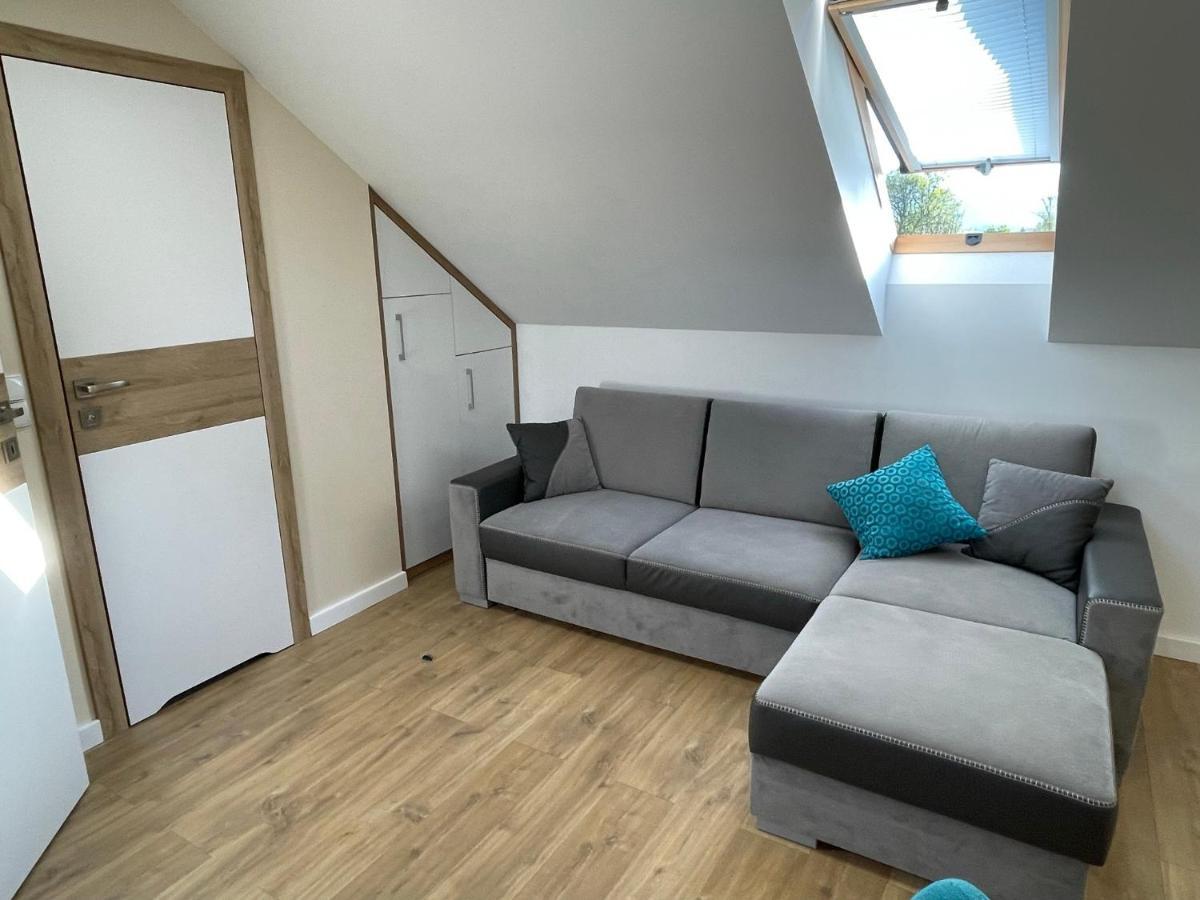 Apartamenty & Spa Stara Polana ザコパネ エクステリア 写真